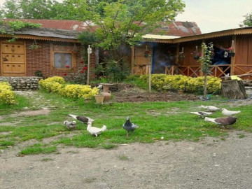 عکس اقامتگاه بوم گردی خوش قدم - لیسار 