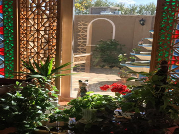 عکس هنرمند سرای هورشید