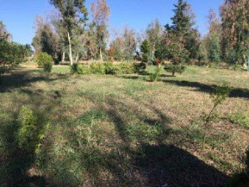 تصویر مجتمع اقامتی و رفاهی خزرآباد