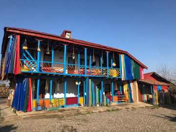 عکس چی چی نی