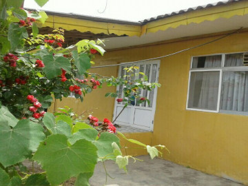 عکس اجاره ویلا مبله - گیلان