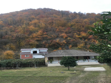 تصویر  ویلای جنگلی دو خوابه 