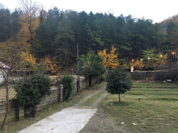 تصویر  ویلای جنگلی دو خوابه 