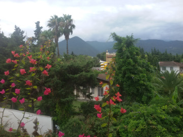 تصویر  ویلای دو خوابه ساحلی 