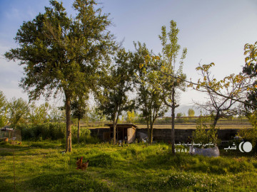 تصویر کلبه چوبی کلون با دوچرخه سواری رایگان