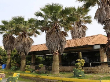 عکس متل پرستو محمودآباد