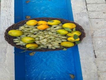 تصویر اقامتگاه بومگردی"دِیرا"اتاق 15نفره ط اول