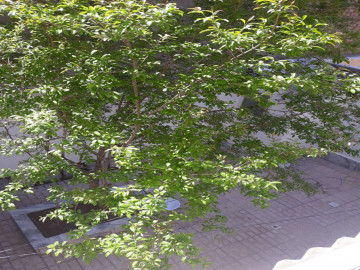 تصویر واحد همکف مبله دوخوابه نزدیک حرم