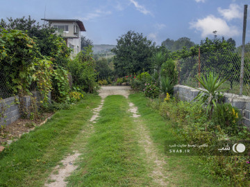 تصویر ویلا جنگلی