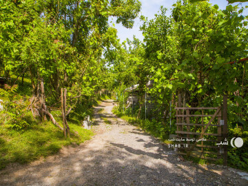 تصویر اقامتگاه "بام های سفالی تالش" اتاق لاتون