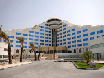 نما و لابی