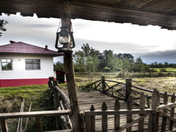 تصویر ویلا یک خوابه روستایی سنتی دو درخت