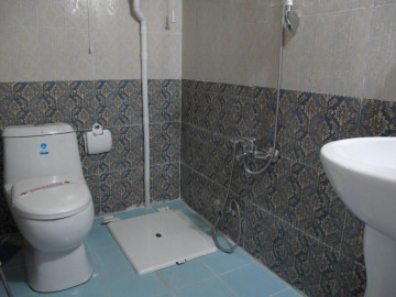 عکس بوم‌گردی ترنج بم (گل بهار)