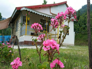 عکس ویلای جنگلی زیتون