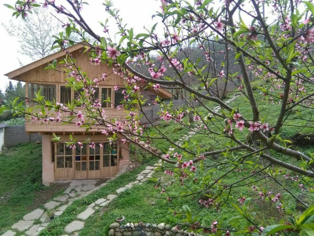 عکس بوم گردی کلبه چوبی(کلبه بزرگ)