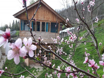 عکس بوم گردی کلبه چوبی (کلبه کوچک 1)