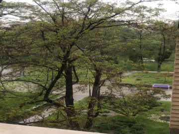 عکس آپارتمان یک خوابه