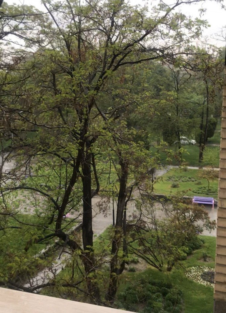 عکس آپارتمان یک خوابه