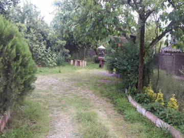 تصویر اجاره ویلا باغ دربست در گیسوم تالش