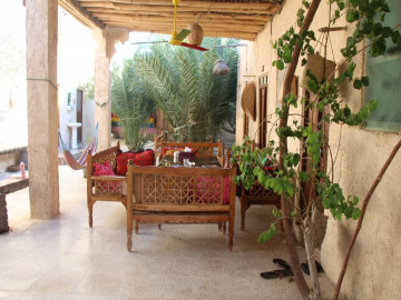 عکس بوم‌گردی پرویز (اسپگ)