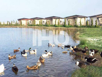 عکس مجتمع اقامتی گیلاریا کیاشهر