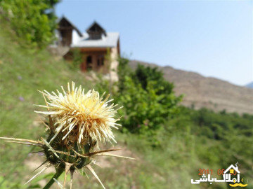 تصویر کلبه و خانه ییلاقی (روستایی)