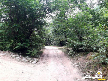تصویر اجاره ویلا داخل جنگل نزدیک رودخانه اسالم