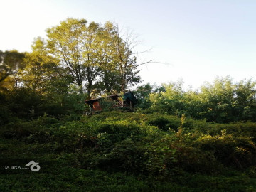 تصویر رزرو کلبه درختی جنگلی در لاهیجان - کلبه چوبی