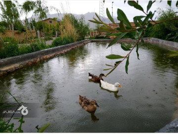 تصویر اقامتگاه بوم گردی در کرمانشاه - کلبه چوبی