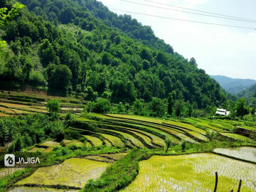 تصویر رزرو کلبه روستایی در کنار مزارع برنج
