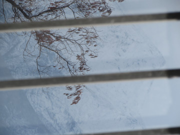 تصویر سوییت اجاره ای در باغ شهر زیبای خوانسار