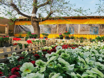 تصویر اقامتگاه بومگردی "کوچه باغ"