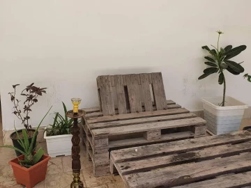 تصویر شیک صدف 