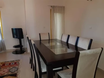 تصویر شیک صدف 