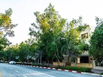 تصویر شیک صدف 