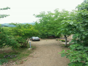 تصویر ویلا باغ جنگلی در دامنه کوه ماسال
