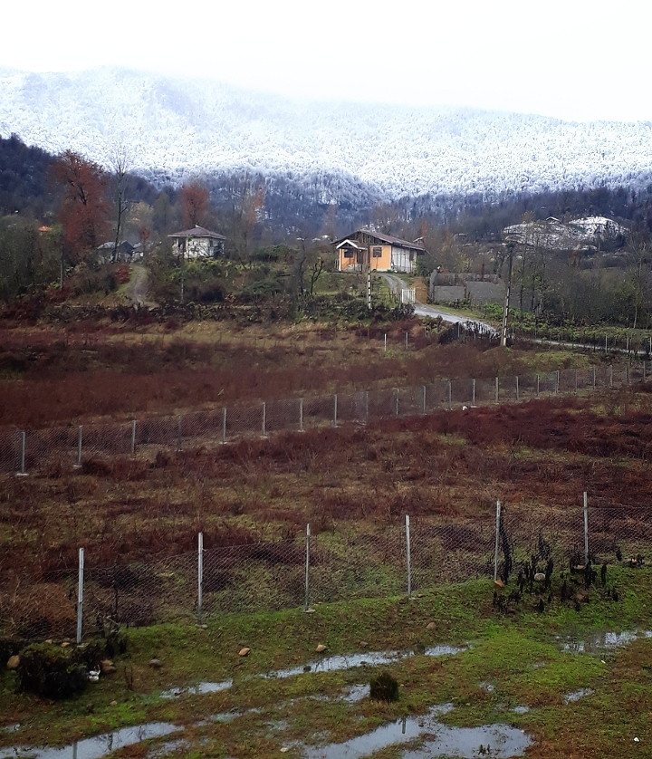 عکس ویلای جنگلی چوبتراشان گیلان