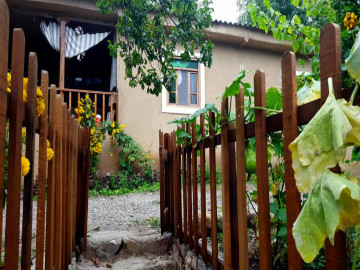 عکس بومگردی سرخدار (اتاق امید)