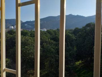 عکس اقامتگاه کوهپایه و جنگلی رامسر