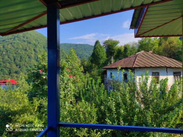 تصویر تراس با ویوی بینظیر جنگل و کوهستان، روستای گاورمک