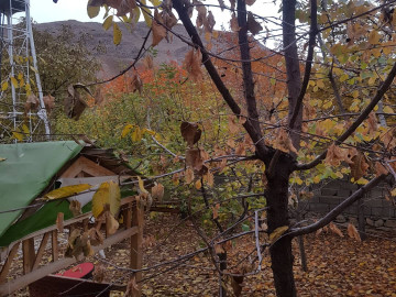 عکس بهشت چشمه اعلا دماوندییلاقی کوهستانی