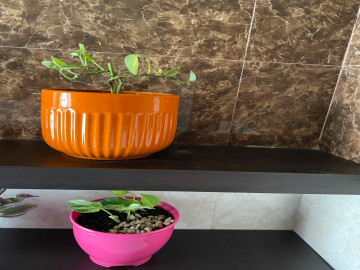 عکس آپارتمان تمیز و شیک