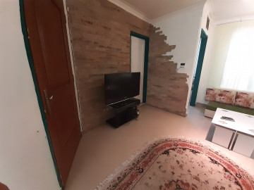 عکس کاج شمالی