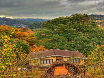 عکس ویلا جنگلی کنار دریاچه سد