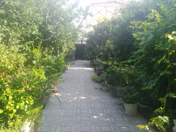 عکس ویلا نارنج باغ نکا