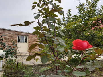 عکس ویلا سوئیت نقلی نیاه‌کوه