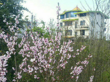 عکس آپارتمان دوخوابه آرام رامسر