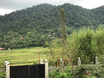 عکس ویلا جنگلی آریا مهر ماسال