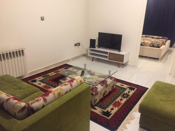 عکس آپارتمان دو خوابه مبله فاطمی