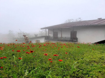 عکس کلبه آرامش جواهرده